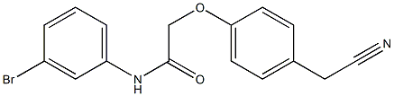 N-(3-bromophenyl)-2-[4-(cyanomethyl)phenoxy]acetamide Struktur