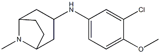  N-(3-chloro-4-methoxyphenyl)-8-methyl-8-azabicyclo[3.2.1]octan-3-amine