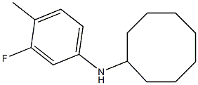 N-(3-fluoro-4-methylphenyl)cyclooctanamine Structure