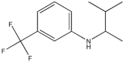 N-(3-methylbutan-2-yl)-3-(trifluoromethyl)aniline,,结构式