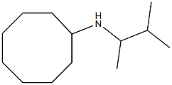  N-(3-methylbutan-2-yl)cyclooctanamine