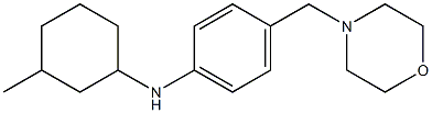 N-(3-methylcyclohexyl)-4-(morpholin-4-ylmethyl)aniline,,结构式