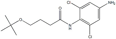 N-(4-amino-2,6-dichlorophenyl)-4-(tert-butoxy)butanamide Struktur