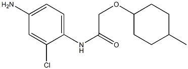 N-(4-amino-2-chlorophenyl)-2-[(4-methylcyclohexyl)oxy]acetamide Struktur