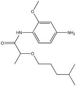 N-(4-amino-2-methoxyphenyl)-2-[(4-methylpentyl)oxy]propanamide Structure