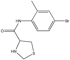 N-(4-bromo-2-methylphenyl)-1,3-thiazolidine-4-carboxamide 结构式