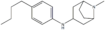 N-(4-butylphenyl)-8-methyl-8-azabicyclo[3.2.1]octan-3-amine,,结构式