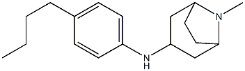 N-(4-butylphenyl)-8-methyl-8-azabicyclo[3.2.1]octan-3-amine Structure