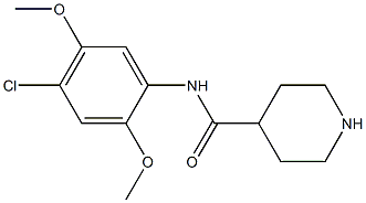 N-(4-chloro-2,5-dimethoxyphenyl)piperidine-4-carboxamide 结构式