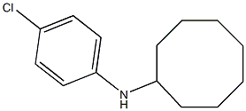 N-(4-chlorophenyl)cyclooctanamine Structure