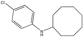 N-(4-chlorophenyl)cyclooctanamine 化学構造式