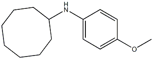 N-(4-methoxyphenyl)cyclooctanamine,,结构式