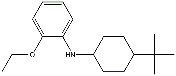 N-(4-tert-butylcyclohexyl)-2-ethoxyaniline