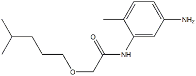 N-(5-amino-2-methylphenyl)-2-[(4-methylpentyl)oxy]acetamide|