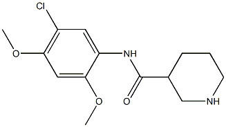 N-(5-chloro-2,4-dimethoxyphenyl)piperidine-3-carboxamide Struktur