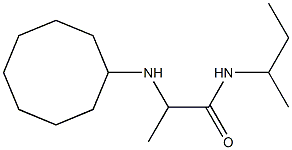 N-(butan-2-yl)-2-(cyclooctylamino)propanamide|