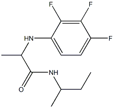 N-(butan-2-yl)-2-[(2,3,4-trifluorophenyl)amino]propanamide 化学構造式