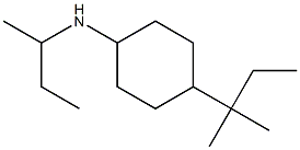 N-(butan-2-yl)-4-(2-methylbutan-2-yl)cyclohexan-1-amine