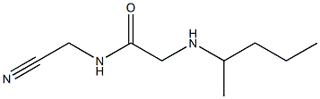 N-(cyanomethyl)-2-(pentan-2-ylamino)acetamide 结构式