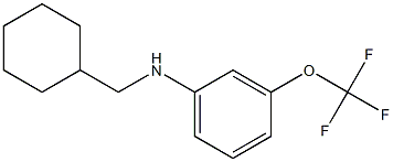 N-(cyclohexylmethyl)-3-(trifluoromethoxy)aniline Struktur