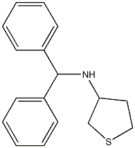 N-(diphenylmethyl)thiolan-3-amine Struktur