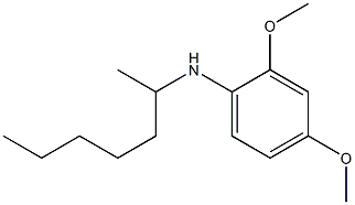 N-(heptan-2-yl)-2,4-dimethoxyaniline 化学構造式