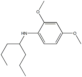 N-(heptan-4-yl)-2,4-dimethoxyaniline Structure