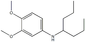 N-(heptan-4-yl)-3,4-dimethoxyaniline Struktur