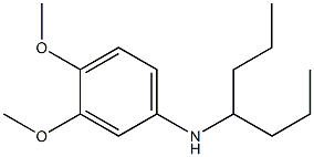 N-(heptan-4-yl)-3,4-dimethoxyaniline 结构式