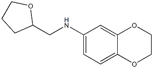 N-(oxolan-2-ylmethyl)-2,3-dihydro-1,4-benzodioxin-6-amine 化学構造式