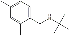  N-(tert-butyl)-N-(2,4-dimethylbenzyl)amine