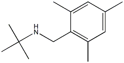 N-(tert-butyl)-N-(mesitylmethyl)amine