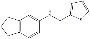  N-(thiophen-2-ylmethyl)-2,3-dihydro-1H-inden-5-amine