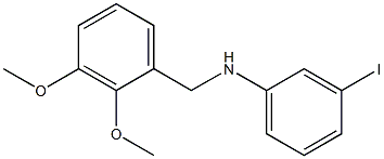 N-[(2,3-dimethoxyphenyl)methyl]-3-iodoaniline Structure