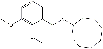 N-[(2,3-dimethoxyphenyl)methyl]cyclooctanamine