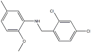 N-[(2,4-dichlorophenyl)methyl]-2-methoxy-5-methylaniline Structure