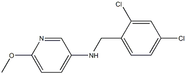 N-[(2,4-dichlorophenyl)methyl]-6-methoxypyridin-3-amine 结构式