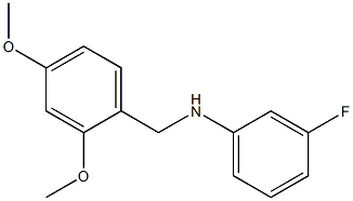 N-[(2,4-dimethoxyphenyl)methyl]-3-fluoroaniline,,结构式