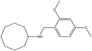 N-[(2,4-dimethoxyphenyl)methyl]cyclooctanamine Structure