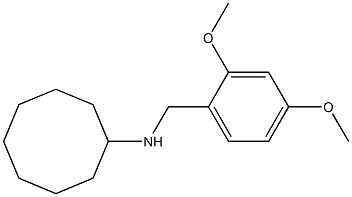 N-[(2,4-dimethoxyphenyl)methyl]cyclooctanamine 化学構造式