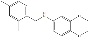 N-[(2,4-dimethylphenyl)methyl]-2,3-dihydro-1,4-benzodioxin-6-amine Structure