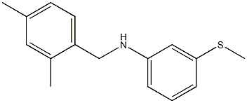 N-[(2,4-dimethylphenyl)methyl]-3-(methylsulfanyl)aniline