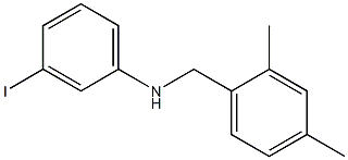 N-[(2,4-dimethylphenyl)methyl]-3-iodoaniline Structure