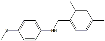 N-[(2,4-dimethylphenyl)methyl]-4-(methylsulfanyl)aniline Struktur