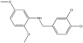 N-[(3,4-dichlorophenyl)methyl]-2,5-dimethoxyaniline 结构式