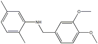 N-[(3,4-dimethoxyphenyl)methyl]-2,5-dimethylaniline Struktur