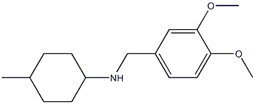 N-[(3,4-dimethoxyphenyl)methyl]-4-methylcyclohexan-1-amine Struktur