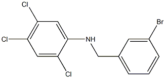 N-[(3-bromophenyl)methyl]-2,4,5-trichloroaniline 化学構造式
