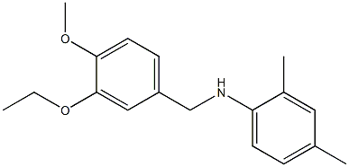  N-[(3-ethoxy-4-methoxyphenyl)methyl]-2,4-dimethylaniline