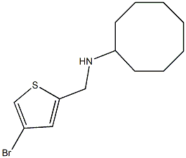 N-[(4-bromothiophen-2-yl)methyl]cyclooctanamine,,结构式